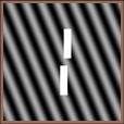 vernier